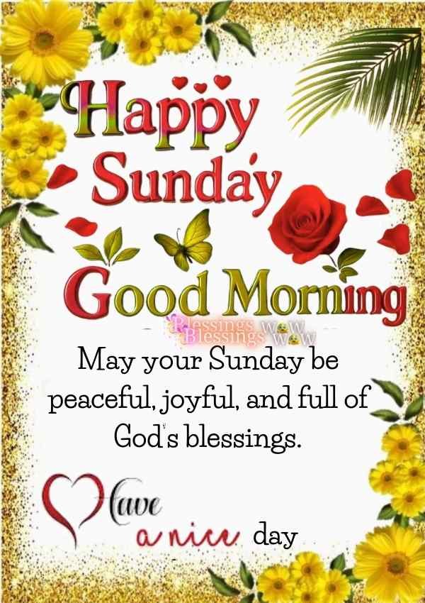 Sunday morning blessings with a text good morning and happy Sunday.